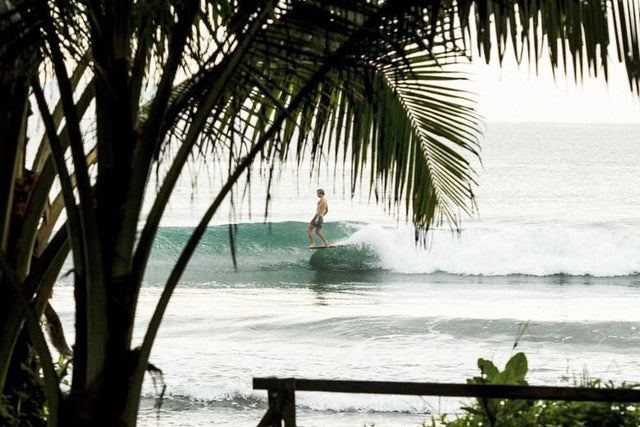 THE HARRISON ROACH CHRONICLES: INDONESIA, PART 6.