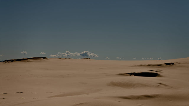 Words With Woody Gooch