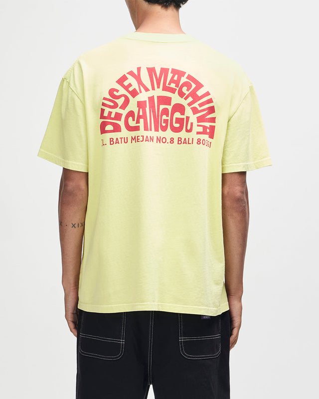 D261MTS572-CangguAddressTee