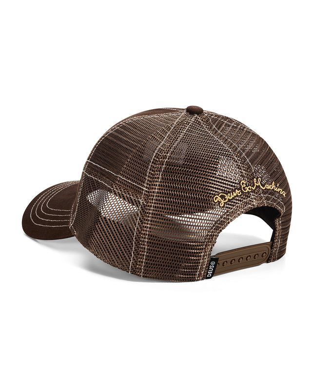 sanchez-trucker-brown