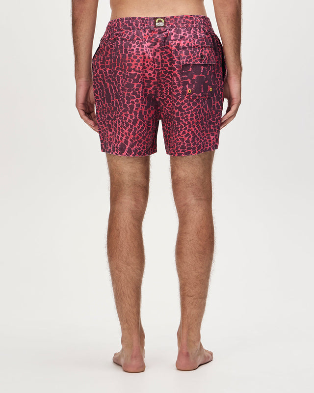 zanzibar-short-raspberry