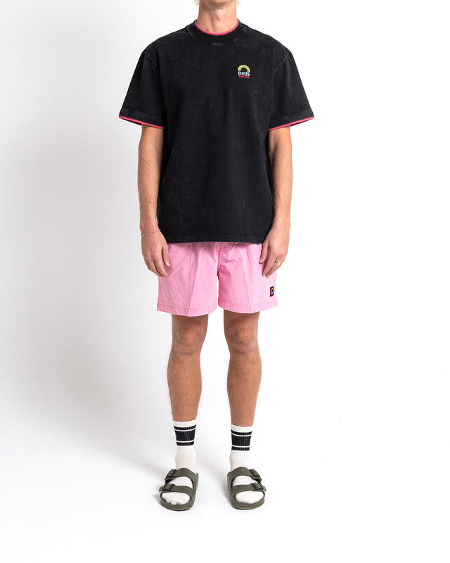 Sandbar Acid Short (Mesh) - Raspberry