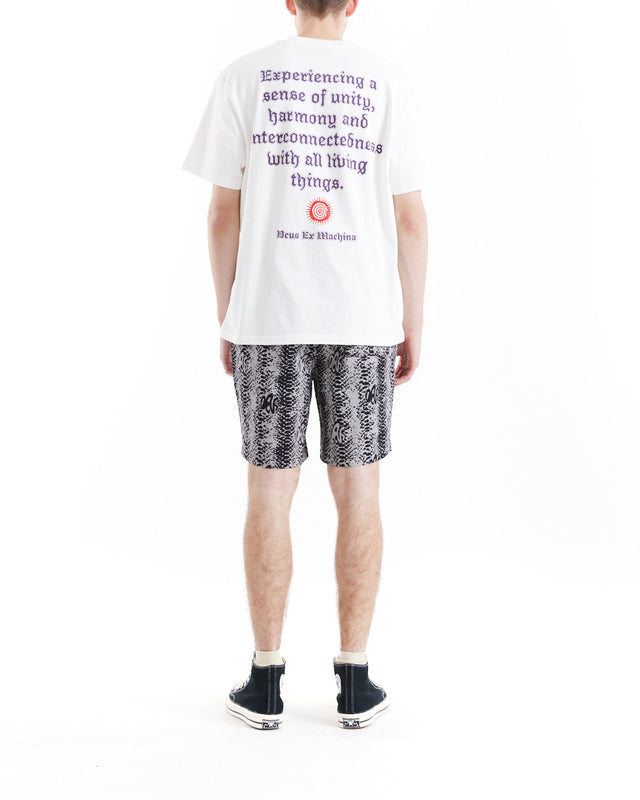 Snake Eyes Beach Short Titanium