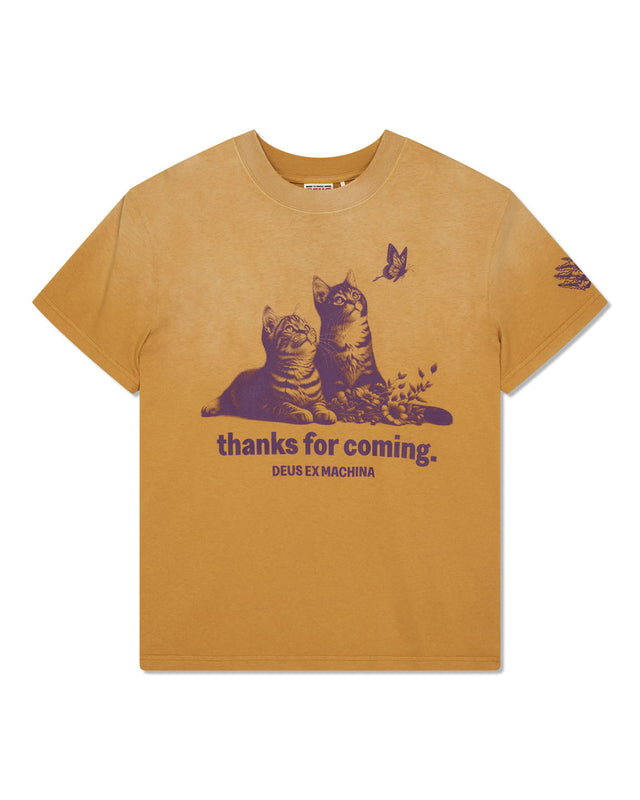 ostinato-tee-sunflower