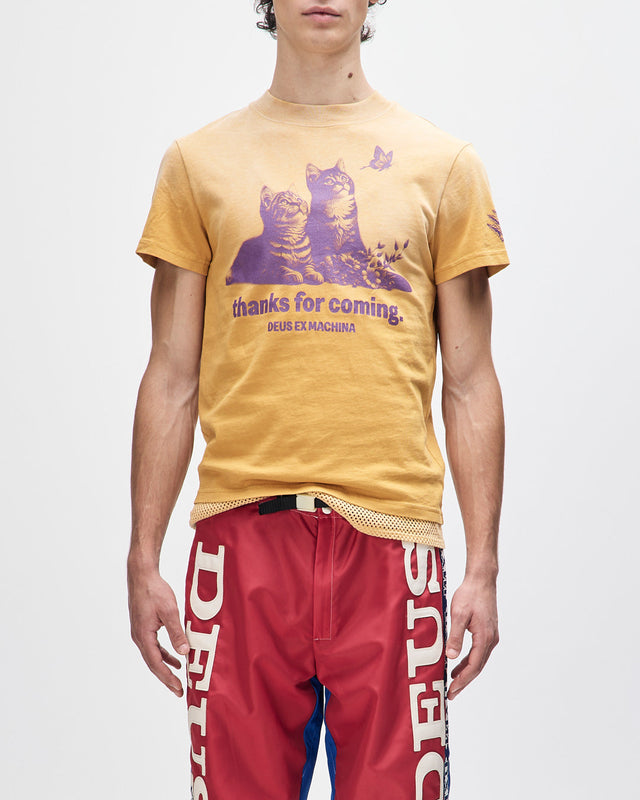 ostinato-tee-sunflower