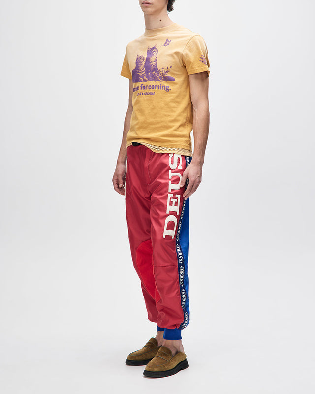 Ostinato Tee - Sunflower