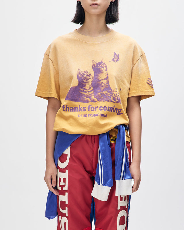 ostinato-tee-sunflower